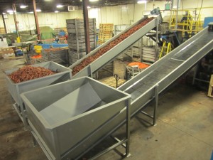 Feed Hoppers 2015 007 Feed Hoppers 2015 007